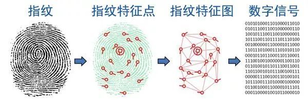 澳门人威尼斯3966